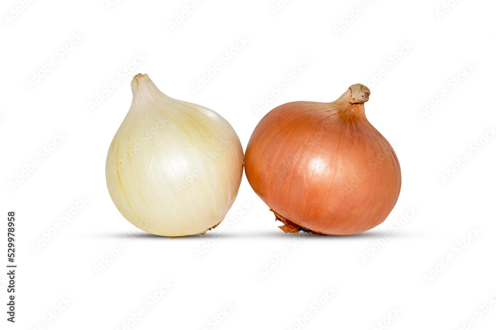 Fototapeta premium Onions isolated on white background