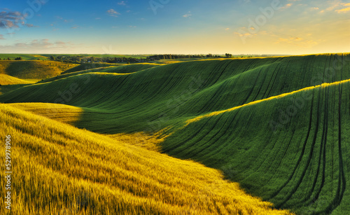 Panoramic landscape with beautiful green hills. Abstract landscape. Nature of Ukraine 