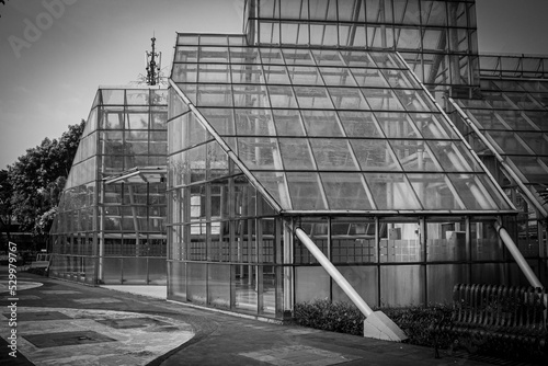 greenhouse with trees in the back ay Menteng Indonesia black and white photo