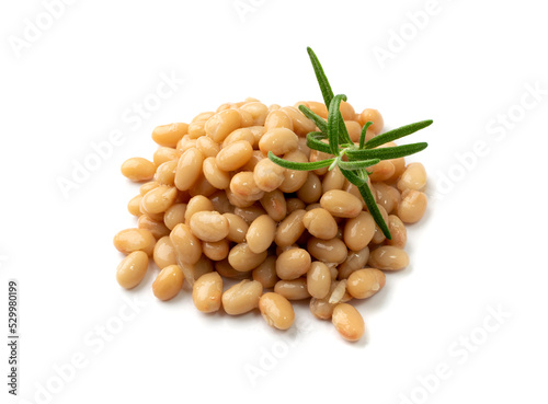 White Kidney Beans Isolated photo