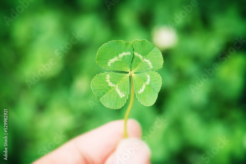 Obraz na plátne Finding Luck
