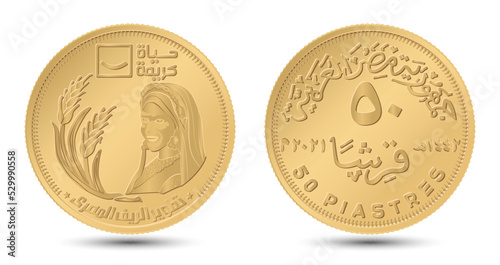 50 piastres 2021 Egyptian Countryside, Egypt. Reverse and obverse of Egyptian fifty piastres coin in vector illustration.