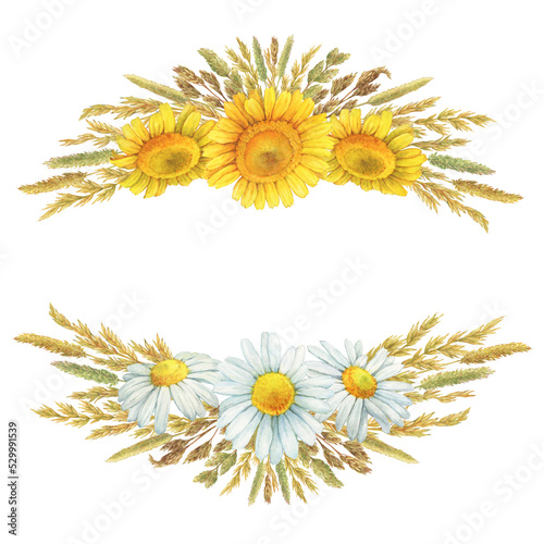 Border, frame with summer field dry herbs, meadow spikelets, white and yellow chamomile flowers (cota, daisy, chamomilla). Watercolor hand drawn painting illustration, isolated on white background.