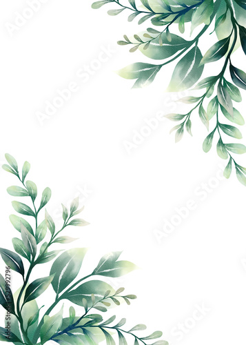 Frame Eucalyptus leaves watercolor