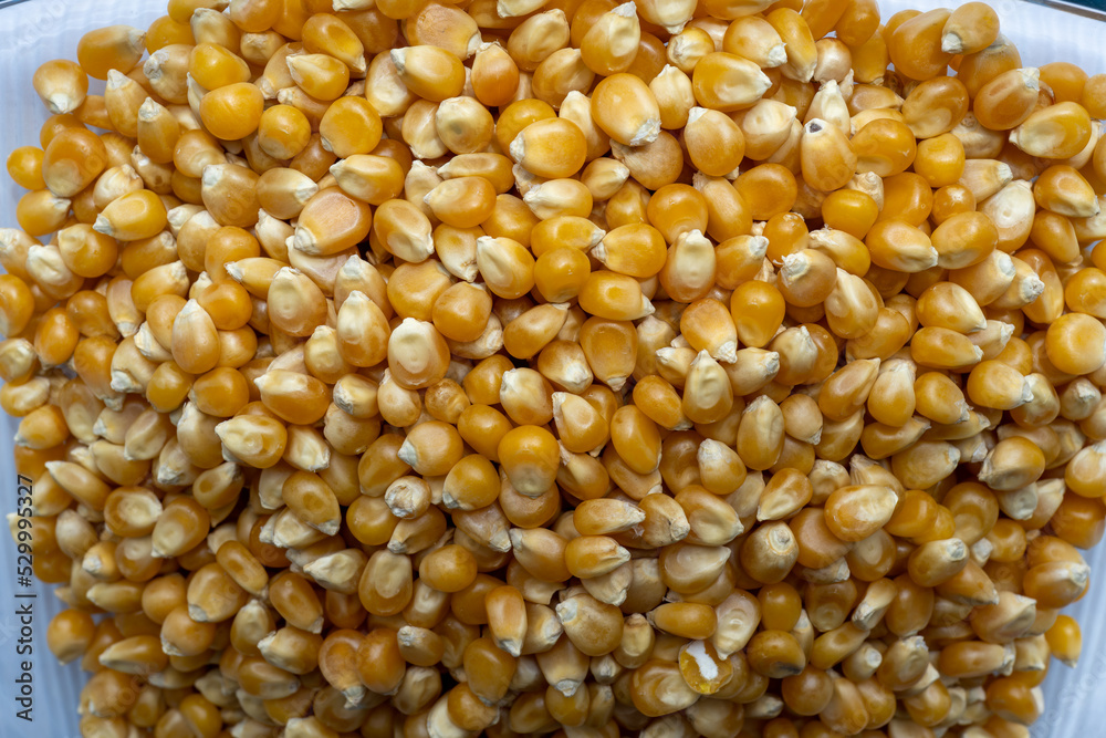 The bright orange raw corn kernels are simply stunning
The bright orange raw corn kernels are simply stunning