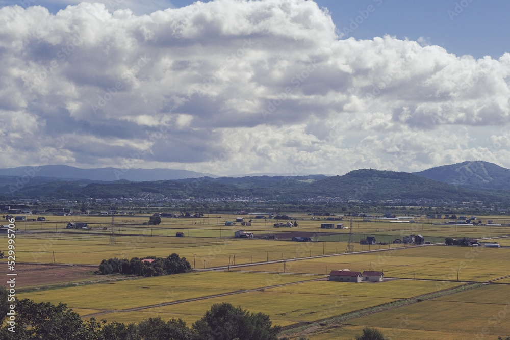 北海道の田園風景（新十津川）