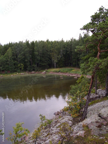 Finnland, Ausblick Kiefern und See