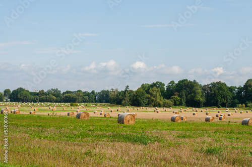 View of the field with haystacks of golden wheat in autumn sunny day with cloudy sky. Rural landscape.