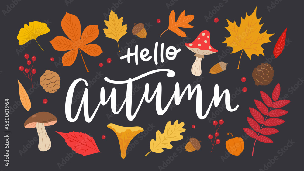 Hello autumn hand drawn vector calligraphy with leaves set. Cute different leaves, mushrooms, berries and acorns. Fall seasonal elements vector illustration
