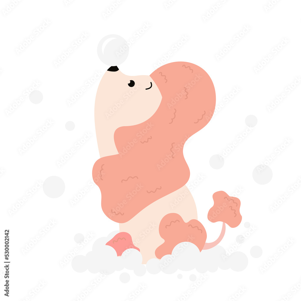 Cute dog in the foam. Washing a poodle. Vector kawaii