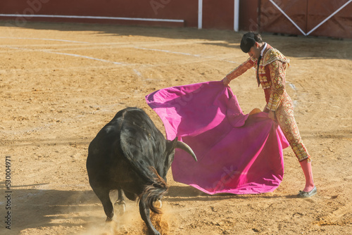 Male torero with cape performing on arena with bull
