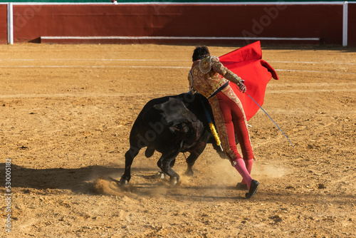 Angry bull and courageous bullfighter on arena