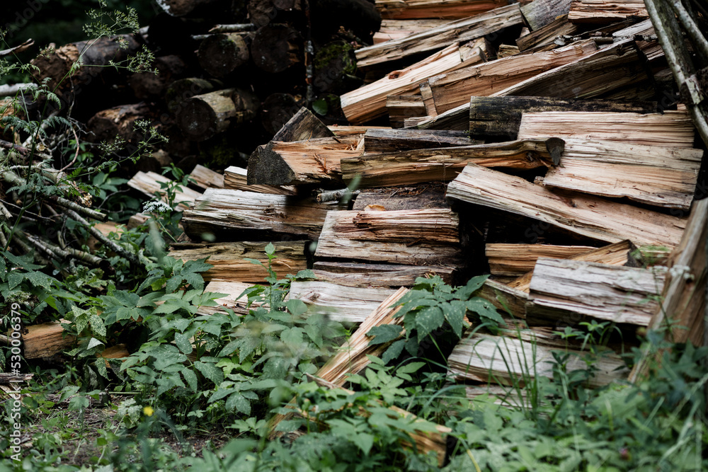 pile of stacked firewood