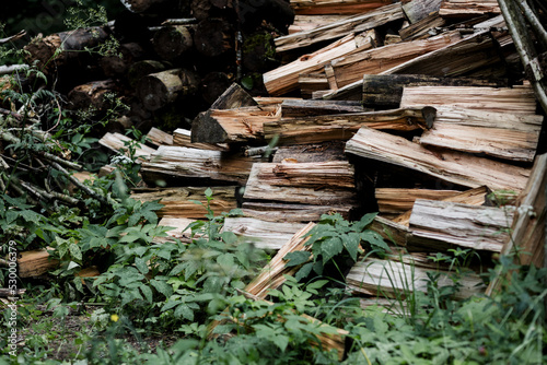 Fototapeta Naklejka Na Ścianę i Meble -  pile of stacked firewood