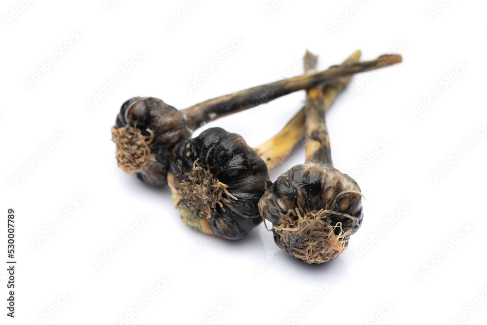 Decayed Garlic Isolated Decayed Garlic Isolated