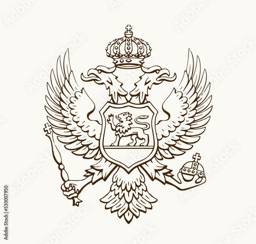 Coat of armd from the Montenegro flag. Vector drawing sign photo