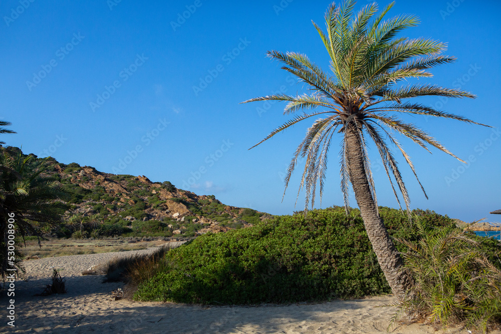 Beautiful landscape photo from the island of Crete, Greece. Summer nature from Crete. 
Chill tourism from the Mediterranean Sea
