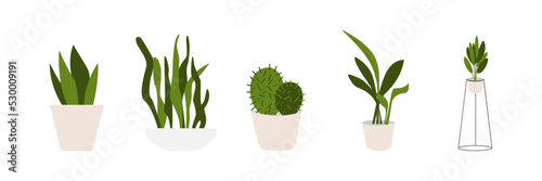 Flower pot icon