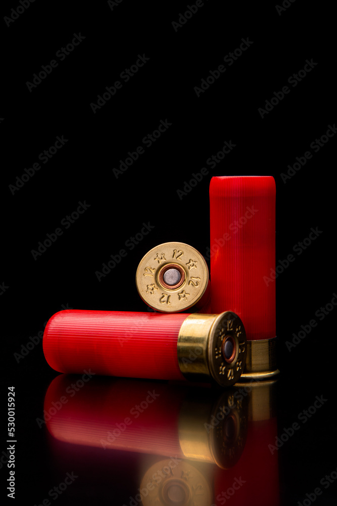 Shotgun shells on a black reflective surface. Ammunition for 12 gauge ...