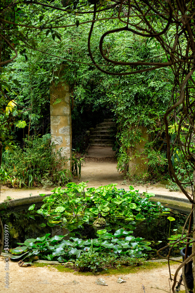 Pool with water lily and pergola in the French garden. Jardin Serre de la Madone, with rare plantings. Summer. Menton, France. Pool with water lily and pergola in the French garden. Jardin Serre de la Madone, with rare plantings. Summer. Menton, France.
