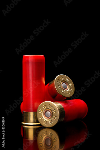 Shotgun shells on a black reflective surface. Ammunition for 12 gauge smoothbore weapons. Hunting ammunition. Dark back.