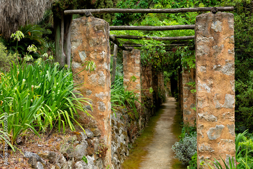 Fototapeta Naklejka Na Ścianę i Meble -  Old Pergola and pathway,of the French garden. Jardin Serre de la Madone, with rare plantings. Summer. Menton, France.
