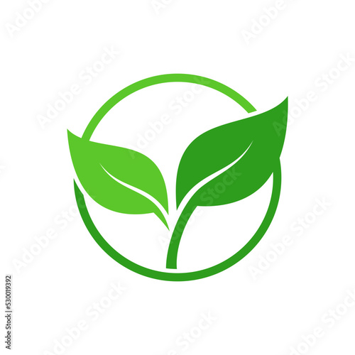 green leaf icon