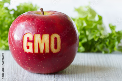 GMO text on red apple, concept of genetically modified foods photo