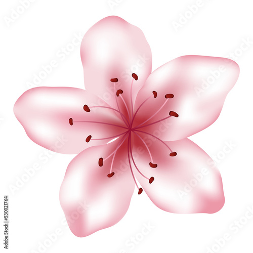 Pink flower illustration, isolated on white. Spring blossom element for desig...