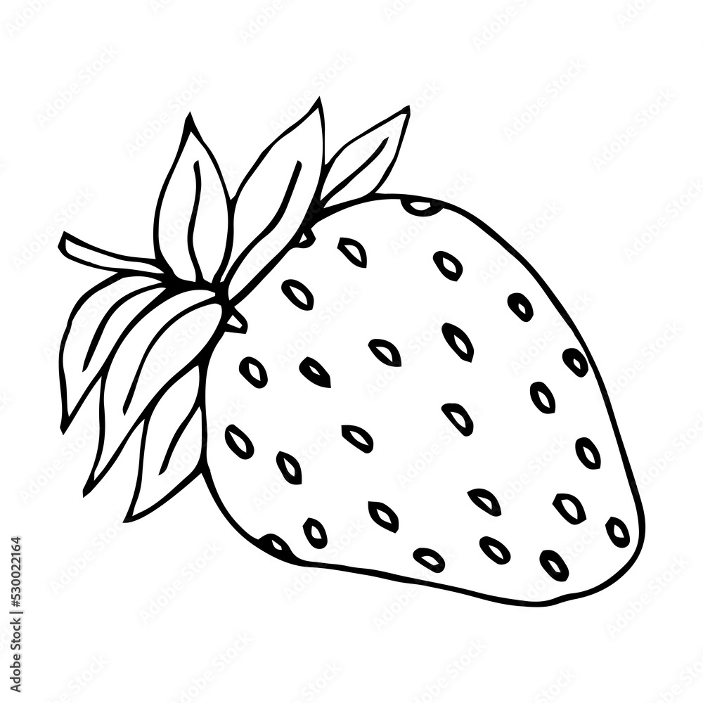 Hand drawn Strawberry vector on a white background Hand drawn Strawberry vector on a white background