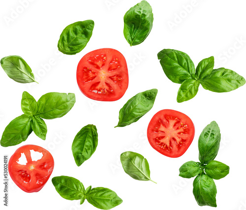 Fresh Basil png transparent photo