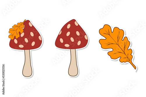 Stickers of mushroom fly agaric and oak leaf. Cute cartoon autumn seasonal set.