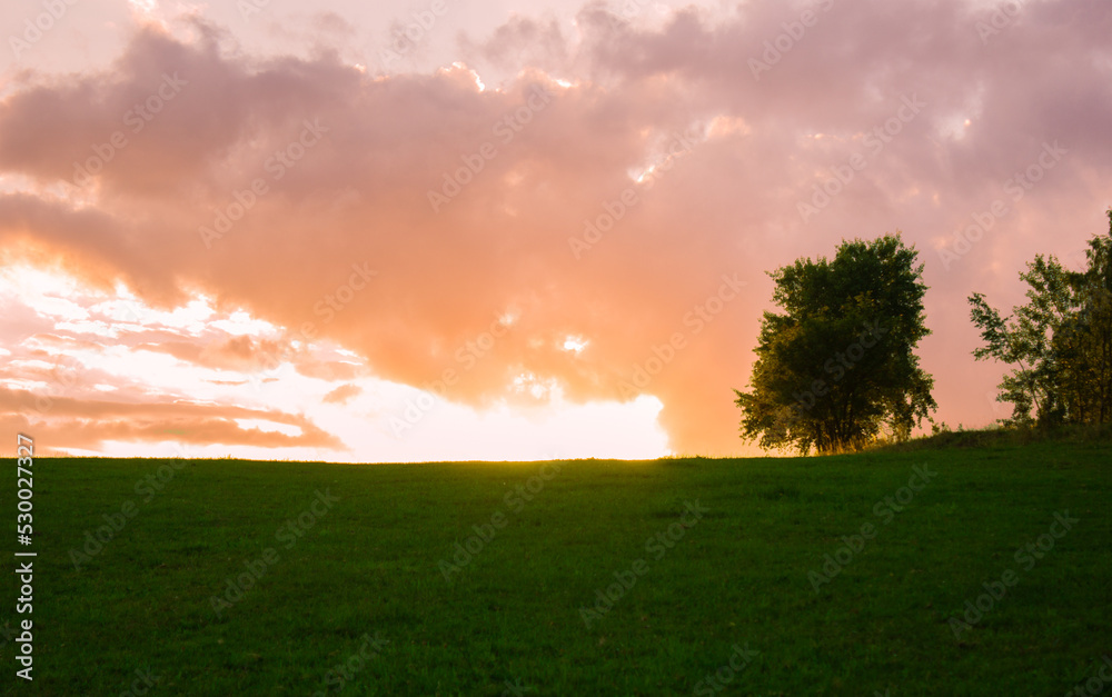 Beautiful sunset on a green field. Natural background.