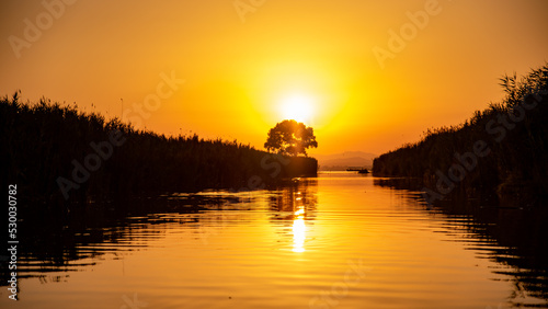 el sol y el árbol en el atardecer reflejados en el rio
