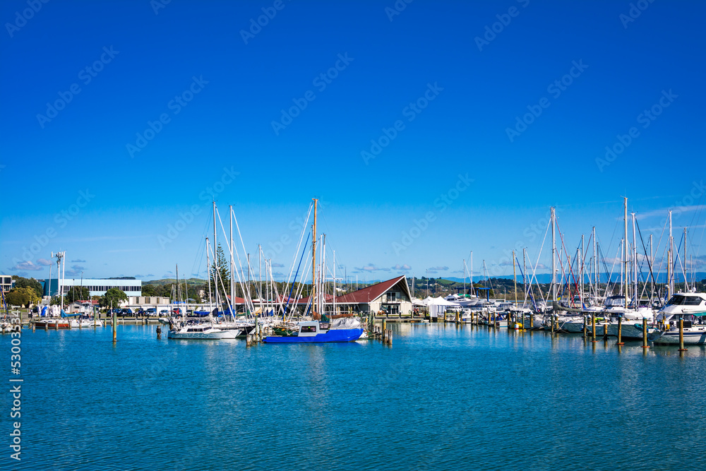 Sailing boats docked at city marina in Napier, New Zealand. Selective focus