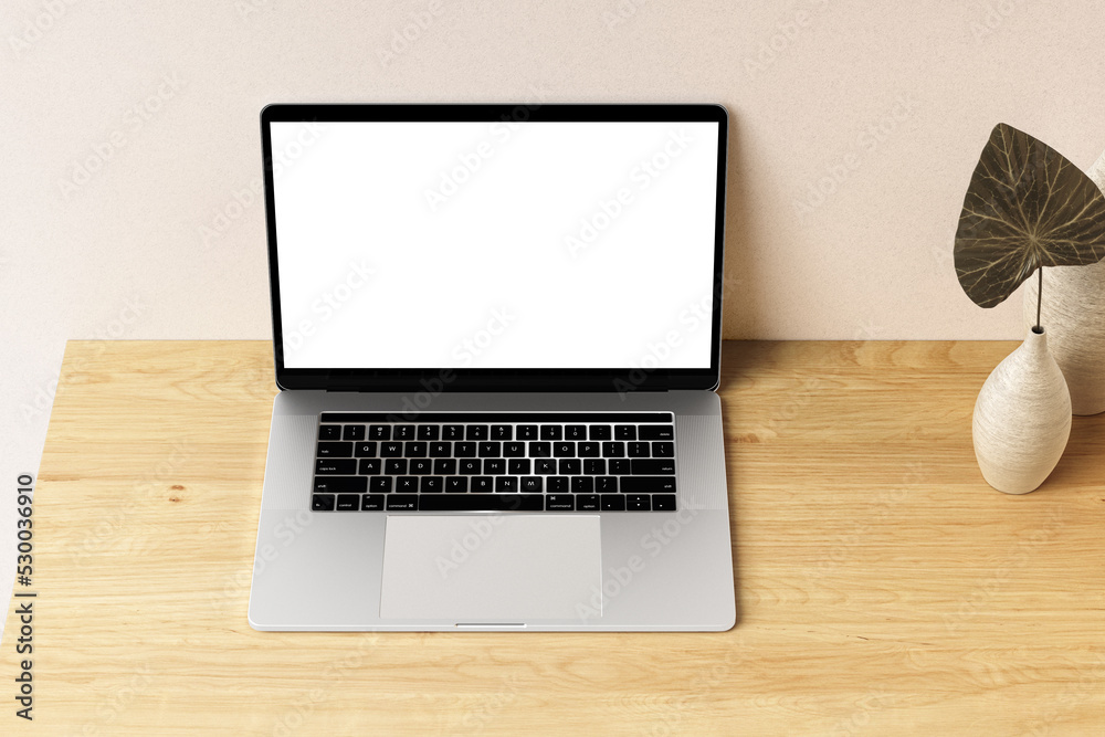 Laptop with blank screen Laptop with blank screen