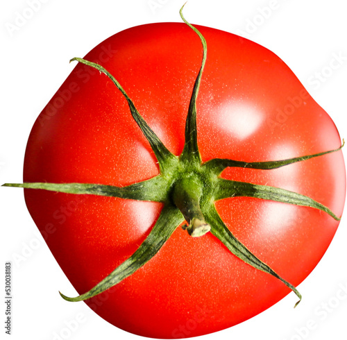 tomato on a white background