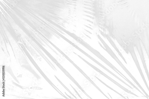 wrapping texture on white background