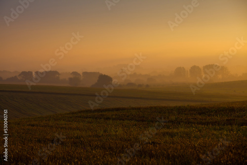 Autumn dawn in the field