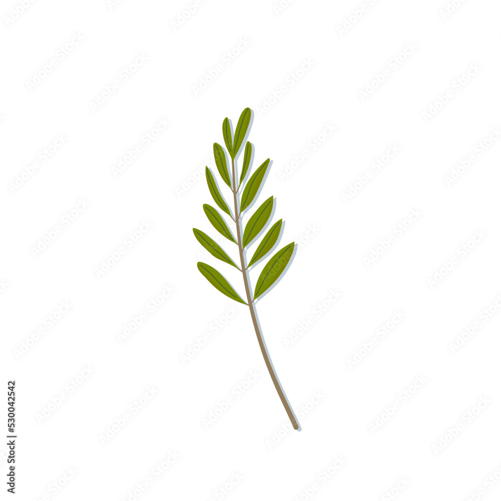Hand drawn green olive branch icon. Modern olive leaves doodle. Peace isolated symbol. Vector illustration, flat design Hand drawn green olive branch icon. Modern olive leaves doodle. Peace isolated symbol. Vector illustration, flat design