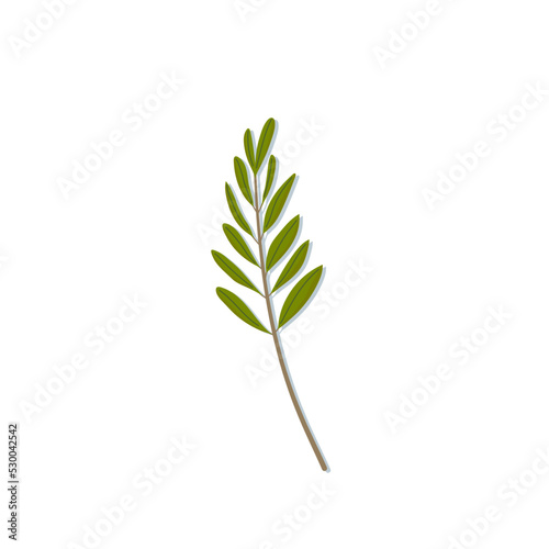 Hand drawn green olive branch icon. Modern olive leaves doodle. Peace isolated symbol. Vector illustration, flat design