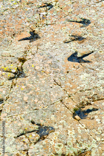 Ichnites Paleontological Deposit of Fuentesalvo, Villar del Río, Ichnites Route of Highlands of Soria, Soria, Castile Leon, Spain, Europe photo