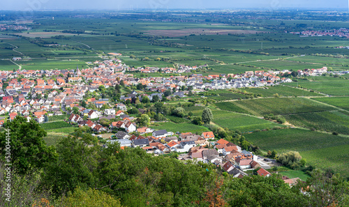 Diedesfeld from Hambach Castle. Diedesfeld is a Palatinate viticulture village and a district of the independent Rhineland-Palatinate city of Neustadt an der Weinstrasse.