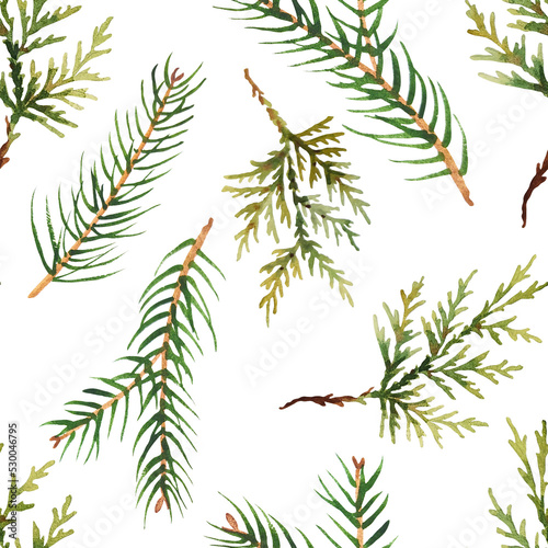 Watercolor pattern with evergreen branches of spruce and thuja. For eco green design or christmas decor