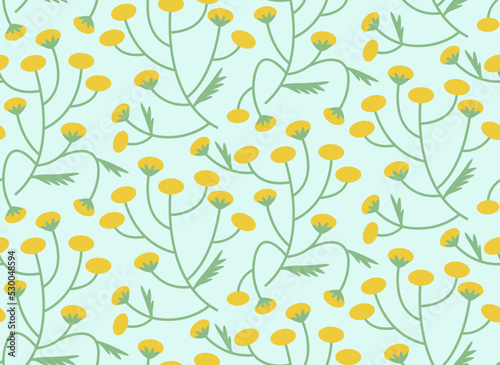 Seamless pattern with tansy. Texture with wildflowers in flat style.