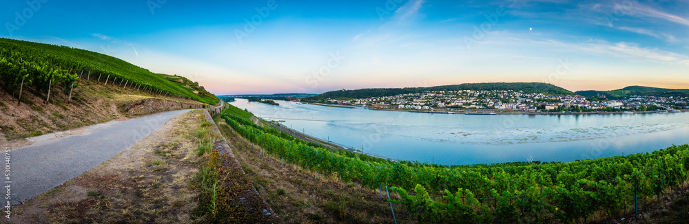 am Rhein am Rhein