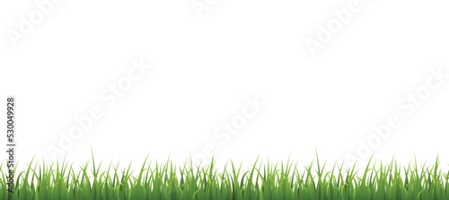 Seamless green grass border flat style, vector illustration