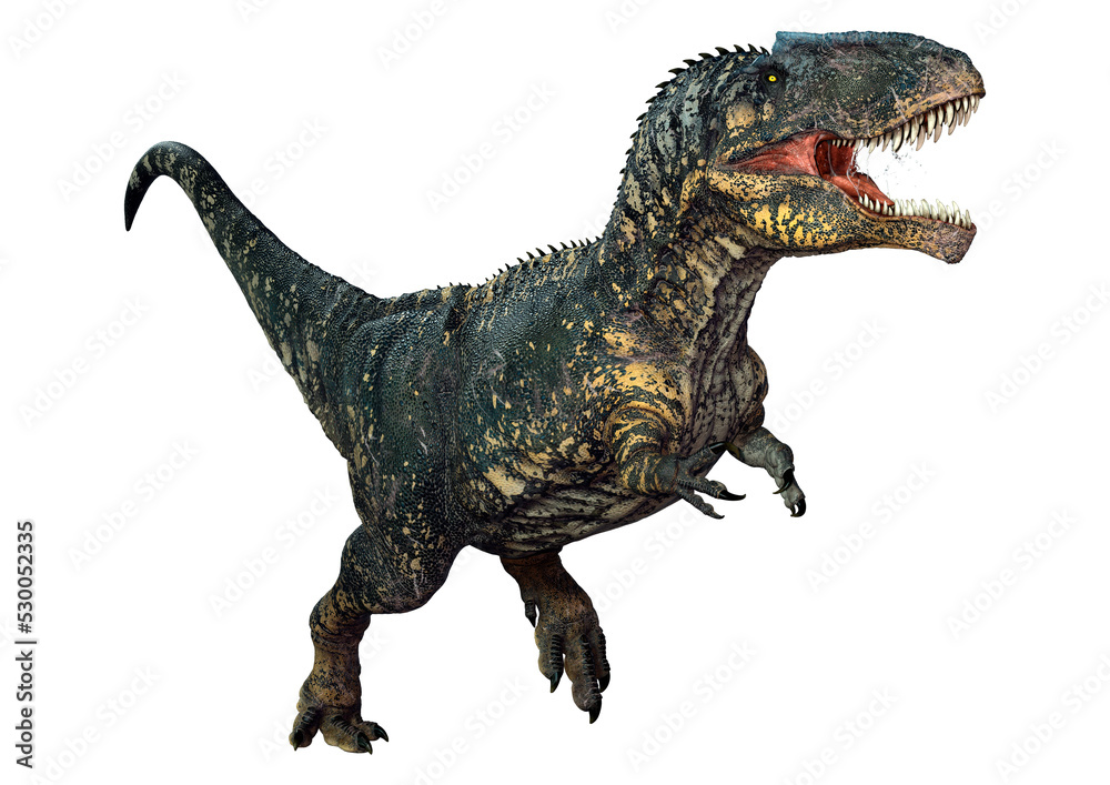 3D Rendering Dinosaur Gigantosaurus on White Stock Illustration