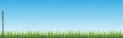 Seamless green grass border and bright blue sky flat style, vector illustration