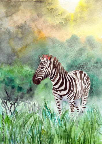 Watercolor illustration of a striped zebra in tall green grass against the background of trees and a yellow sunset sky